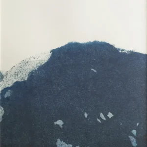 Dyeforindigo ocean 2 poster 40x50 cm från Fine Little Day Kampanjpris