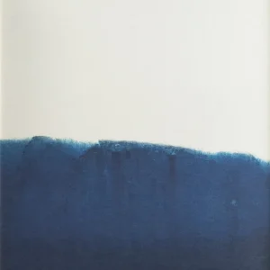 Dyeforindigo ocean 1 poster 40x50 cm från Fine Little Day Nyhet