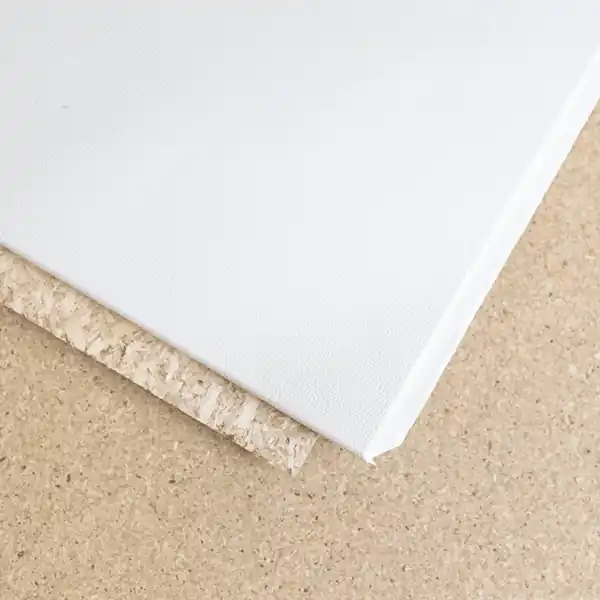 risnedsättning Byggelit Innertak Elittak vit topp 1220 mm x 620 mm x 12 mm (5-pack)