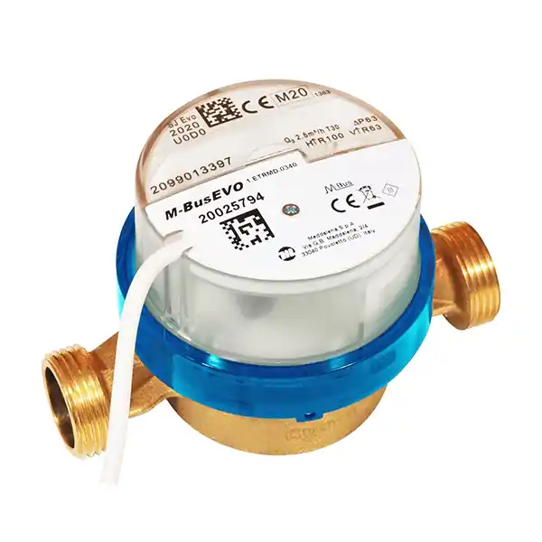 Expressleverans Beulco Vattenmätare 6158 för kallvatten PN16 (110 mm) R20