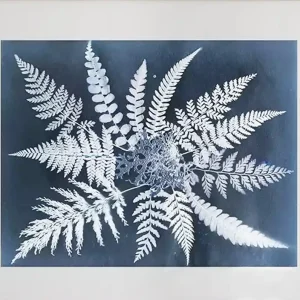 Fern star poster från Fine Little Day Rea