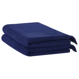 risnedsättning Handduk Atiu set om 2 Blå Blå - Textil & mattor