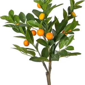 Citrus konstväxt grön/orange - Inredning Populär
