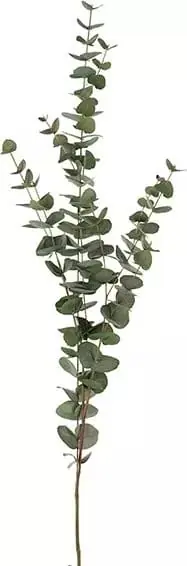 Billig Eucalyptus konstväxt grön - Inredning