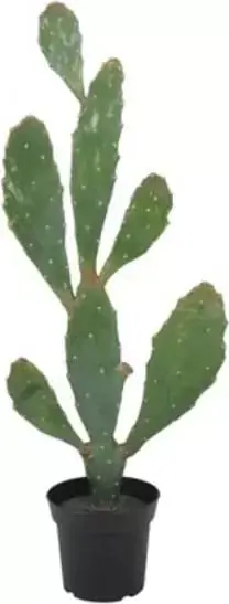 Kampanj Konstväxt - Verde Kaktus 92 cm grön - Inredning
