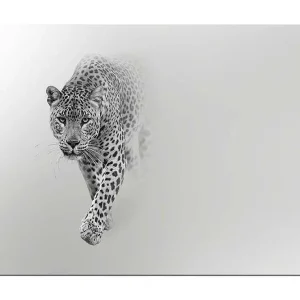 Canvastavla 70x100 cm - Majestätisk leopard som rör sig framåt i en stilren och minimalistisk komposition - Inredning & dekor Bästa pris