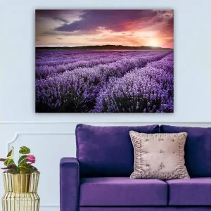 Bästa pris Canvastavla 70x100 cm - Vacker lavendelfält under en färgsprakande solnedgång - Inredning & dekor