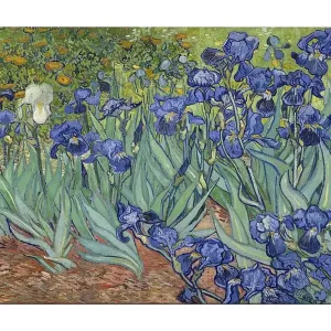 Canvastavla 70x100 cm - Färgglad samling av irisblommor i olika nyanser av blått - Inredning & dekor Billig
