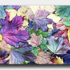 Canvastavla 70x100 cm - Färgglada höstlöv i en harmonisk komposition - Inredning & dekor Rabatter