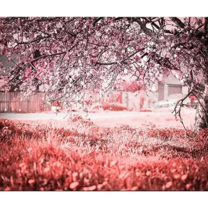 risnedsättning Canvastavla 70x100 cm - Ett blommande körsbärsträd i en romantisk och drömlik miljö - Inredning & dekor