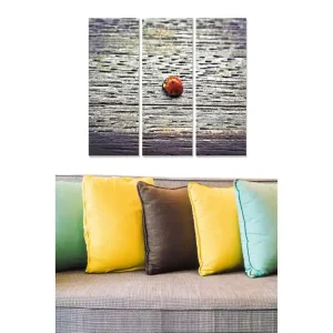 Canvastavla i trä 3-delar 50x70 cm - Nyckelpiga på en träyta - Inredning & dekor Premium