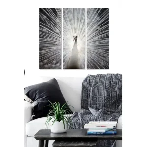Canvastavla i trä 3-delar 50x70 cm - Vit påfågel med strålar av ljus bakom sig - Inredning & dekor Nyhet