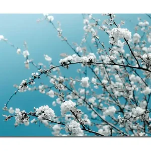 Canvastavla 70x100 cm - Blommande grenar mot en klar, blå bakgrund - Inredning & dekor Premium