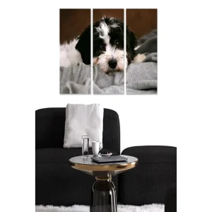 Canvastavla i trä 3-delar 50x70 cm - Söt hund som vilar på en mjuk filt - Inredning & dekor Sänkt pris