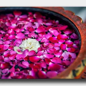 Canvastavla 70x100 cm - Skål med rosa rosblad och en vit blomma som flyter på ytan - Inredning & dekor Kundfavorit