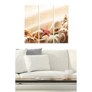 Canvastavla i trä 3-delar 50x70 cm - Snäckor och en sjöstjärna på sandstrand - Inredning & dekor Trygg betalning