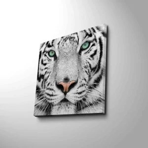 Utförsäljning Canvastavla 45x45 cm - Närbild av en vit tiger med intensiva ögon - Inredning & dekor