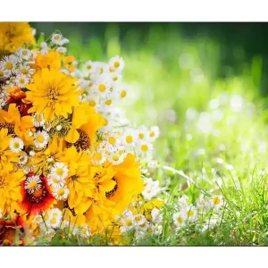 Canvastavla 70x100 cm - Färgglad bukett med gula blommor och vita prästkragar - Inredning & dekor Utförsäljning