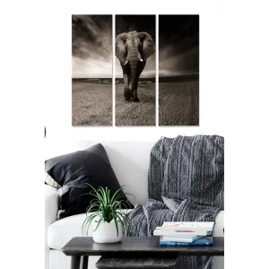 Billigare Tavla Animal 3-pack Flerfärgad - Inredning & dekor