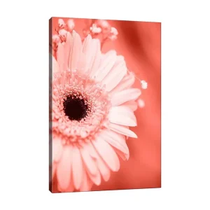 Canvastavla 70x100 cm - Närbild av en rosa blomma med en mörk mittpunkt - Inredning & dekor Premium