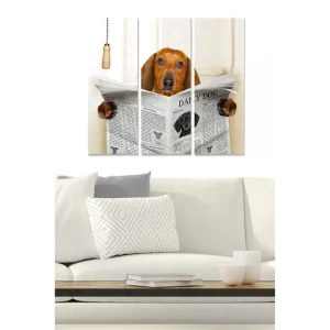 Canvastavla i trä 3-delar 50x70 cm - Hund som läser tidningen med nyfikenhet - Inredning & dekor Kampanjpris