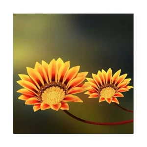 Köp nu Canvastavla 45x45 cm - Färgglada blommor med solgula och orange kronblad Gult / Orange / Brunt - Inredning