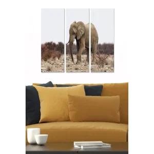 Canvastavla Animal 3-pack Flerfärgad - Inredning & dekor Rabatter