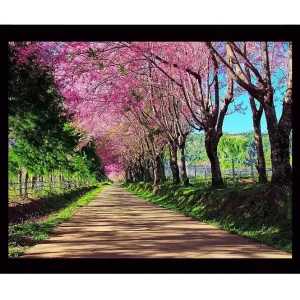 Sista chansen Inramad Canvastavla i trä - 41x56 cm - Vacker allé med blommande körsbärsträd i rosa nyanser - Inredning & dekor