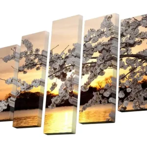 Beställ idag Canvastavla i 5 delar 82x50 cm - Vacker körsbärsblomma vid solnedgången Vit / Orange / Gul - Inredning