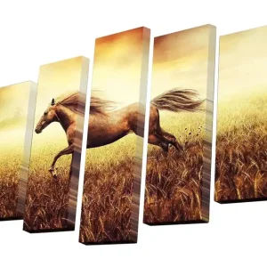 Canvastavla i 5 delar 82x50 cm - Galopperande häst i gyllene fält Guld / Brunt / Beige - Inredning Lågt pris