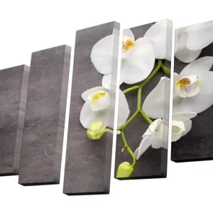 Billig Canvastavla i 5 delar 82x50 cm - Vacker orkidé med vita blommor på en mörk bakgrund Vit / Grå / Grön - Inredning