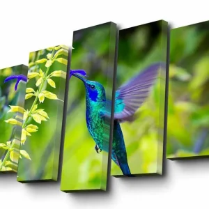 Kampanj Canvastavla i 5 delar 82x50 cm - Kolibri i flykt bland gröna växter Grön / Blå / Gul - Inredning