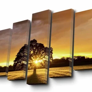 Fynd Canvastavla i 5 delar 82x50 cm - Storslagen solnedgång bakom ett ensamt träd Guld / Orange / Svart - Inredning