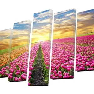 Billig Canvastavla i 5 delar 82x50 cm - Färgglad tulpanfält under en solnedgång Rosa / Orange / Grön - Inredning