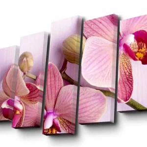 Canvastavla i 5 delar 82x50 cm - Ljuvlig orkidé i rosa nyanser Rosa / Lila / Grön - Inredning Populär