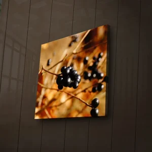 Beställ nu Canvastavla med LED-belysning 28x28 cm - Svart bärklase på en gyllene bakgrund Svart / Guldbrun - Inredning