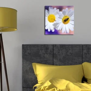 Canvastavla med LED-belysning 28x28 cm - Två vita prästkragar med gula mittar Vitt / Gult / Lila - Inredning Handla nu