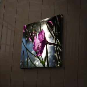 Säker betalning Canvastavla med LED-belysning 28x28 cm - Vacker rosa blomma i motljus Rosa / Grön / Blå - Inredning
