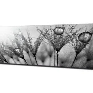 Fynd Canvastavla 80x30 cm - Svartvit bild av vattendroppar på fjädrar Svart / Vitt / Grått - Inredning