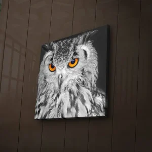Canvastavla med LED-belysning 28x28 cm - Uggla med intensiva orange ögon Svart / Orange - Inredning Snabb leverans