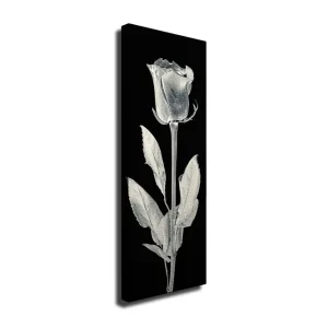 Endast denna vecka Canvastavla 30x80 cm - Vit ros mot svart bakgrund Vit / Svart - Inredning