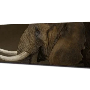 Expressleverans Canvastavla Elefant med betar Grå/Vit - Inredning