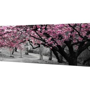 Billigare Canvastavla 80x30 cm - Blommande körsbärsträd i svartvitt landskap Rosa / Svart - Inredning