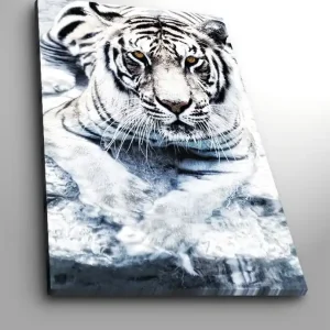 Canvastavla 70x100 cm - Majestätisk vit tiger som ligger i vattnet - Inredning & dekor Fynd