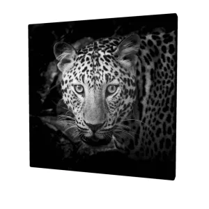 Canvastavla 45x45 cm - Porträtt av en leopard med intensiva ögon - Inredning & dekor Populärt val
