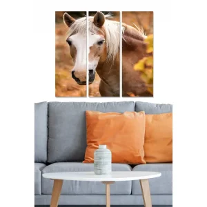 Snabb leverans Tavla Animal 3-pack Flerfärgad - Inredning & dekor