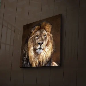 Bästa pris Canvastavla med LED-belysning 40x40 cm - Majestätisk lejonhuvud med detaljerad man och uttrycksfulla ögon Guld / Brun / Beige - Inredning