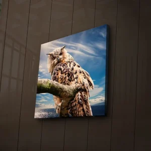 Canvastavla med LED-belysning 40x40 cm - Uggla på en gren med dramatisk himmel i bakgrunden Brun / Blå / Vit - Inredning Säker betalning