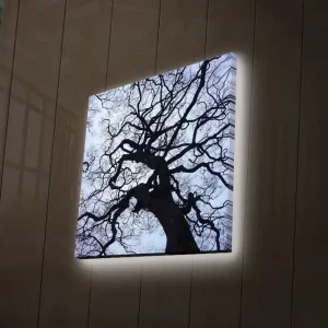 Sänkt pris Canvastavla med LED-belysning 28x28 cm - Silhuett av ett träd mot en ljus bakgrund Svart / Blå / Vit - Inredning