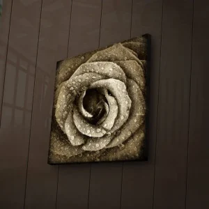 Canvastavla med LED-belysning 40x40 cm - Vacker ros med droppar av vatten Beige / Brun / Grå - Inredning Fynd
